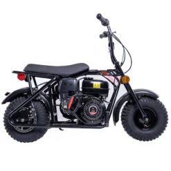 Trailmaster Storm 200 Mini Bike