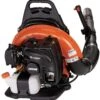 Echo PB-755ST Backpack Blower -SAFFORD EQUIPMENT 61rTU5W PhL. AC SL1000