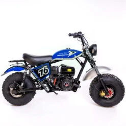 Trailmaster Hurricane 200X Mini Bike